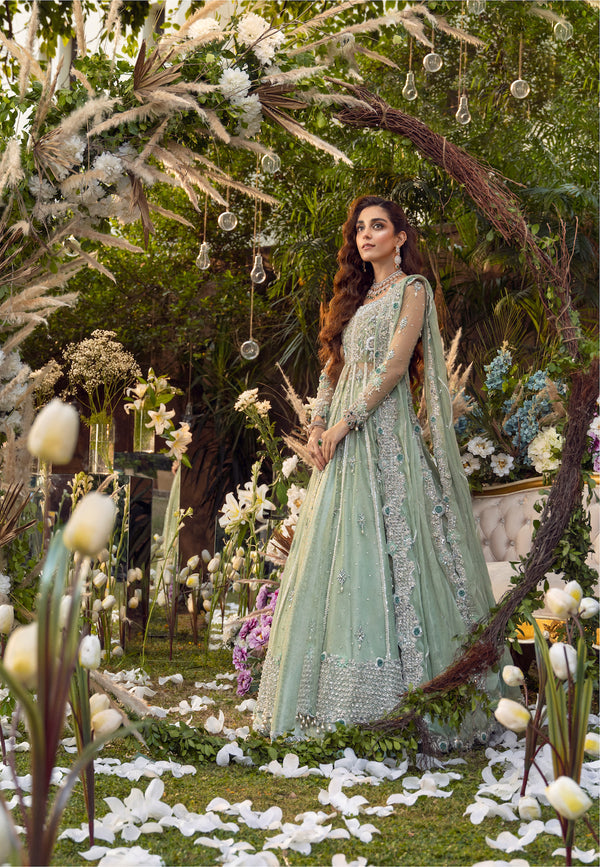 Maya | Wedding Formal Babul | PARNIYA - Saira Saqlain
