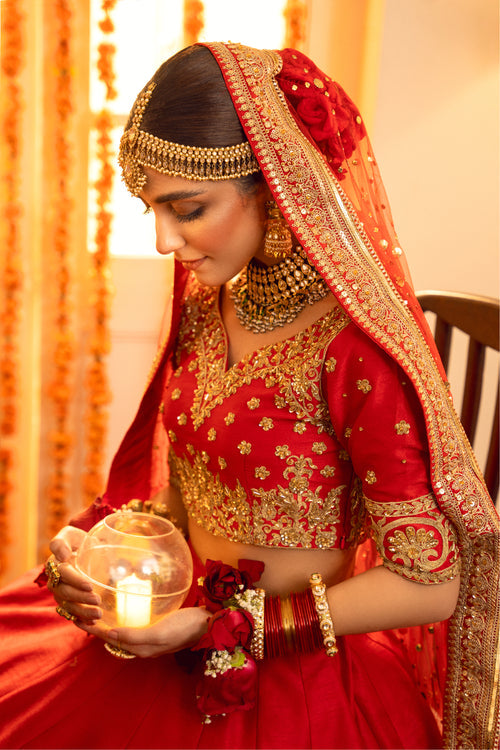 Maya | Wedding Formal Babul | AMAN TARA - Saira Saqlain