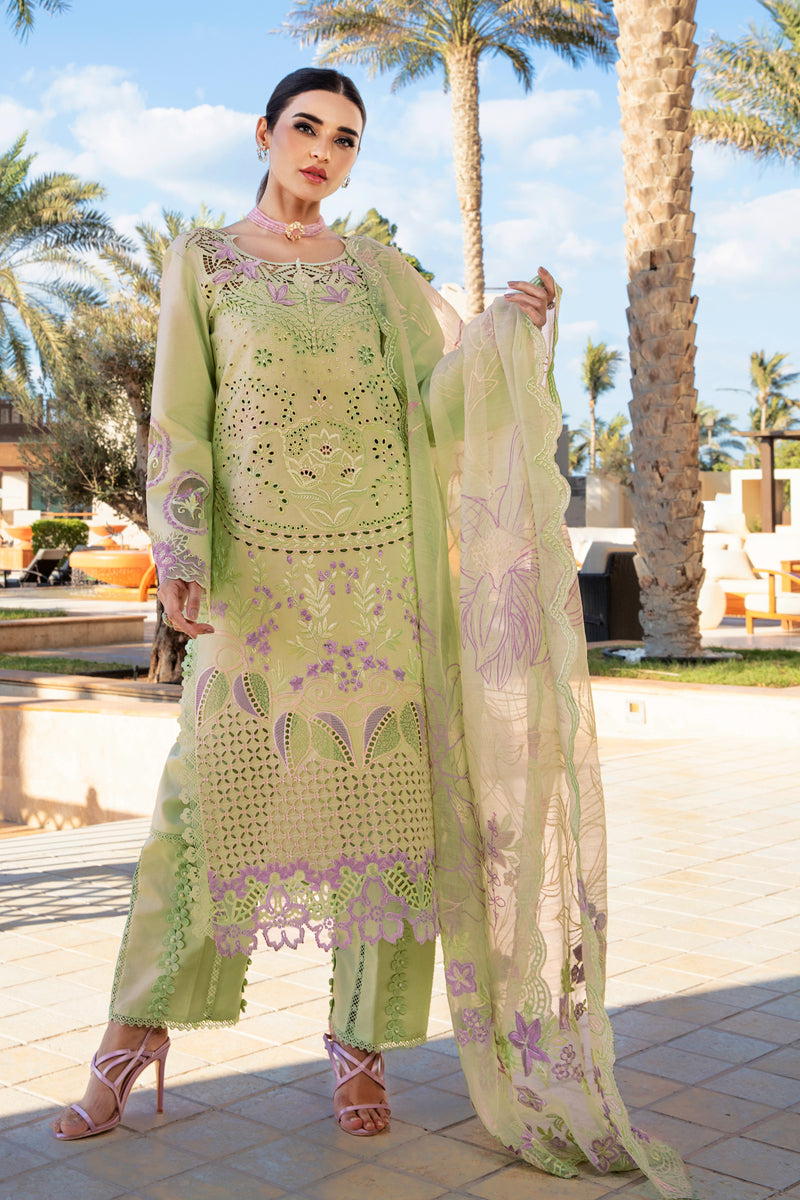 Rangrasiya | Premium Summer Lawn 25 | Ayleen -   Ladies Clothes -  Saira Saqlain