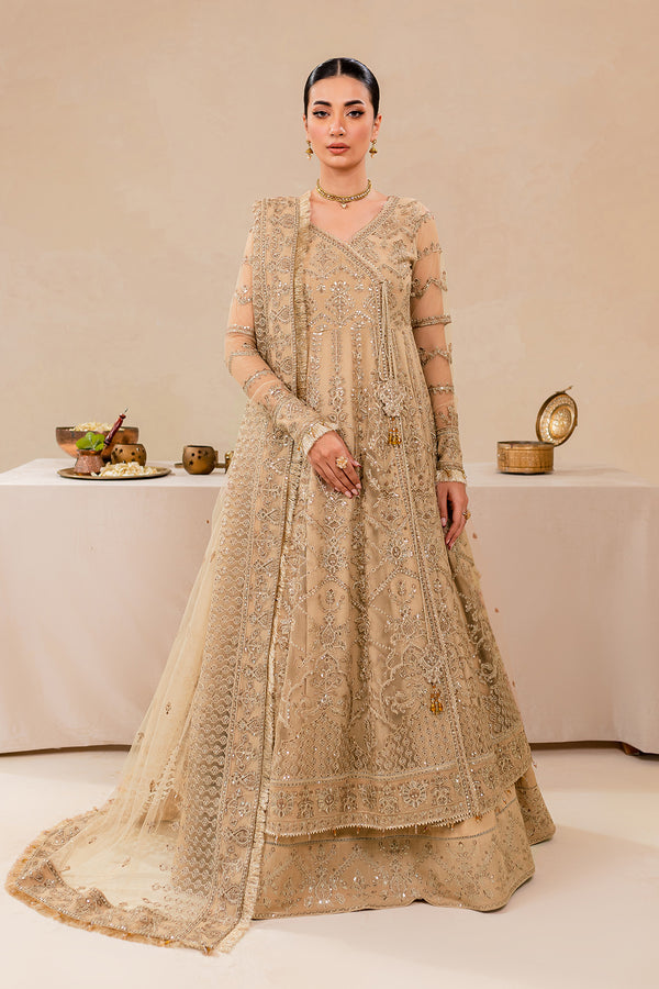 Farasha | Lumiere Formals | DREAMT FLAIR - Saira Saqlain