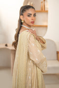 Declare | Eid Collection 25 |  PB01075 -   Ladies Clothes -  Saira Saqlain
