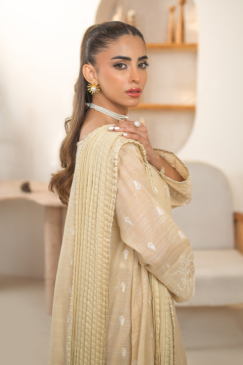 Declare | Eid Collection 25 |  PB01075 -   Ladies Clothes -  Saira Saqlain