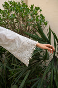 Jazmin | Irish Lawn SS 24 | D2 - Saira Saqlain