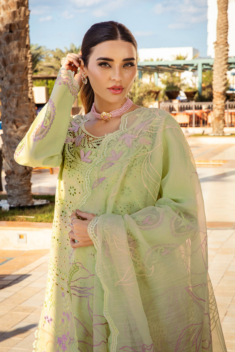 Rangrasiya | Premium Summer Lawn 25 | Ayleen -   Ladies Clothes -  Saira Saqlain