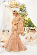 Maya | Wedding Formal Babul | ANAYAT - Saira Saqlain
