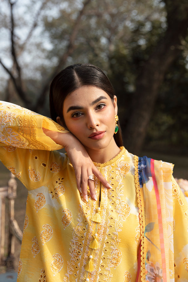 Afrozeh | Ayzel Summer Dream | DAFFODIL - Saira Saqlain