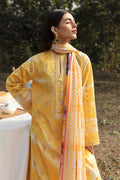 Afrozeh | Ayzel Summer Dream | DAFFODIL - Saira Saqlain