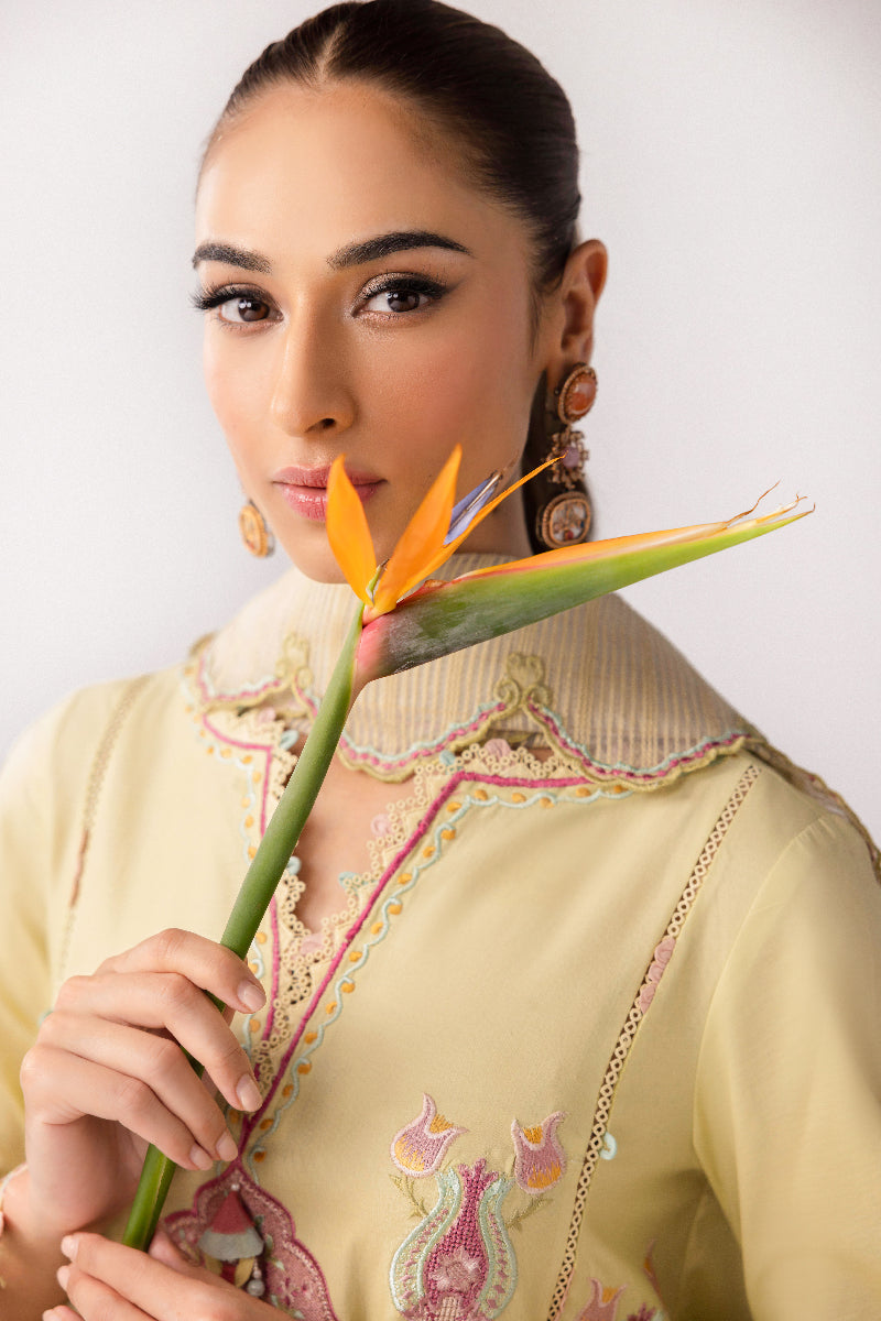 Qalamkar | Basic Pret 25 | KT-08 Afra -   Ladies Clothes -  Saira Saqlain