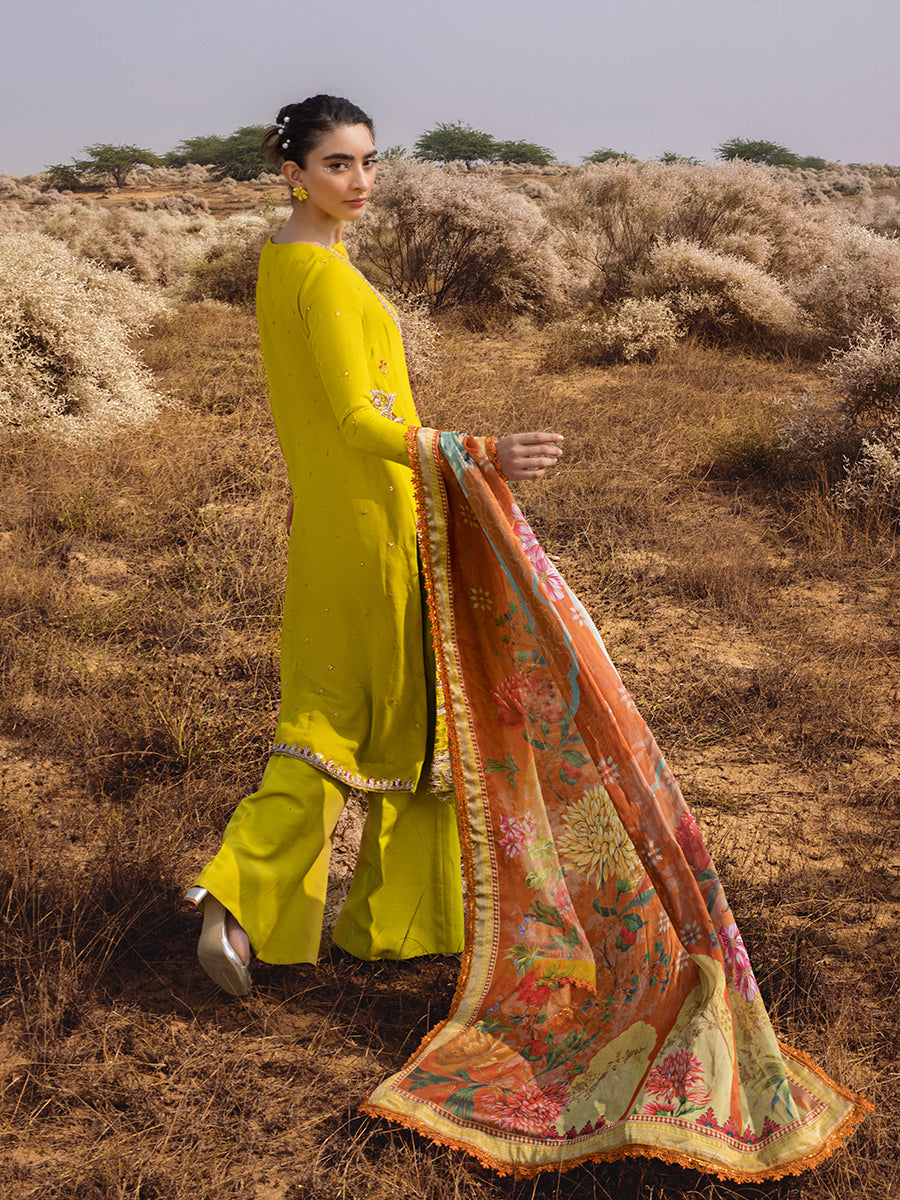Salitex | Luxury Wear 24 | 26 - Saira Saqlain