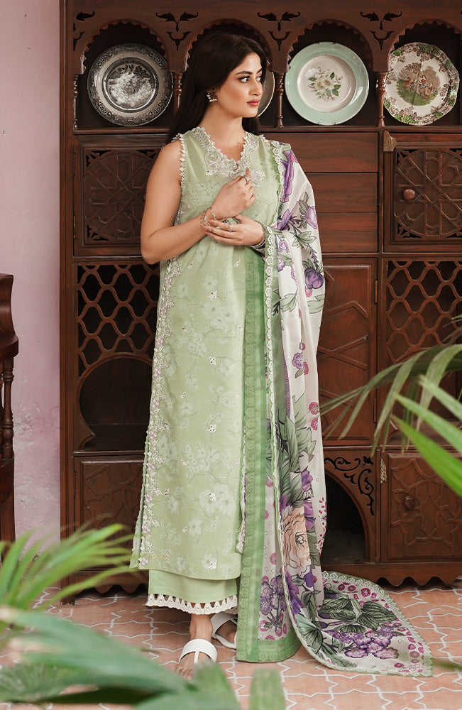 Seran | Afsanah Lawn 24 | Maya - Saira Saqlain