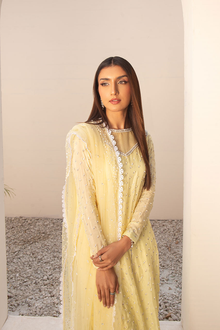 Leon | Leon Luxe Collection | SITARA LIME - Saira Saqlain