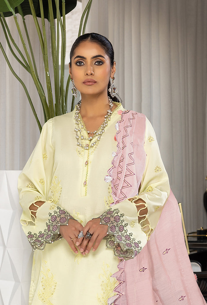 Humdum | Charlotte Chikankari Lawn | D06 - Saira Saqlain