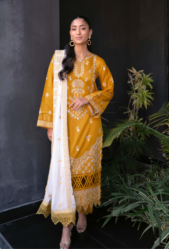 Humdum | Meraki Lawn 24 | d04 - Saira Saqlain